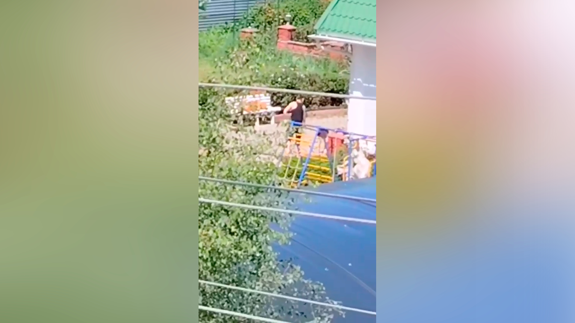 Подмосковная прокуратура решила изъять тигренка, проживающего на дачном участке