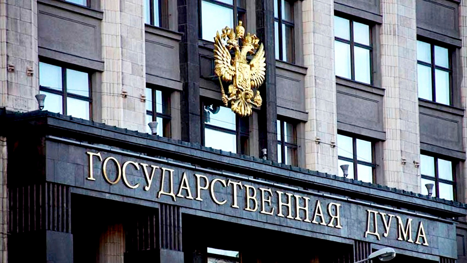 В ГД предложили запретить бесплатное обучение в школах для детей мигрантов
