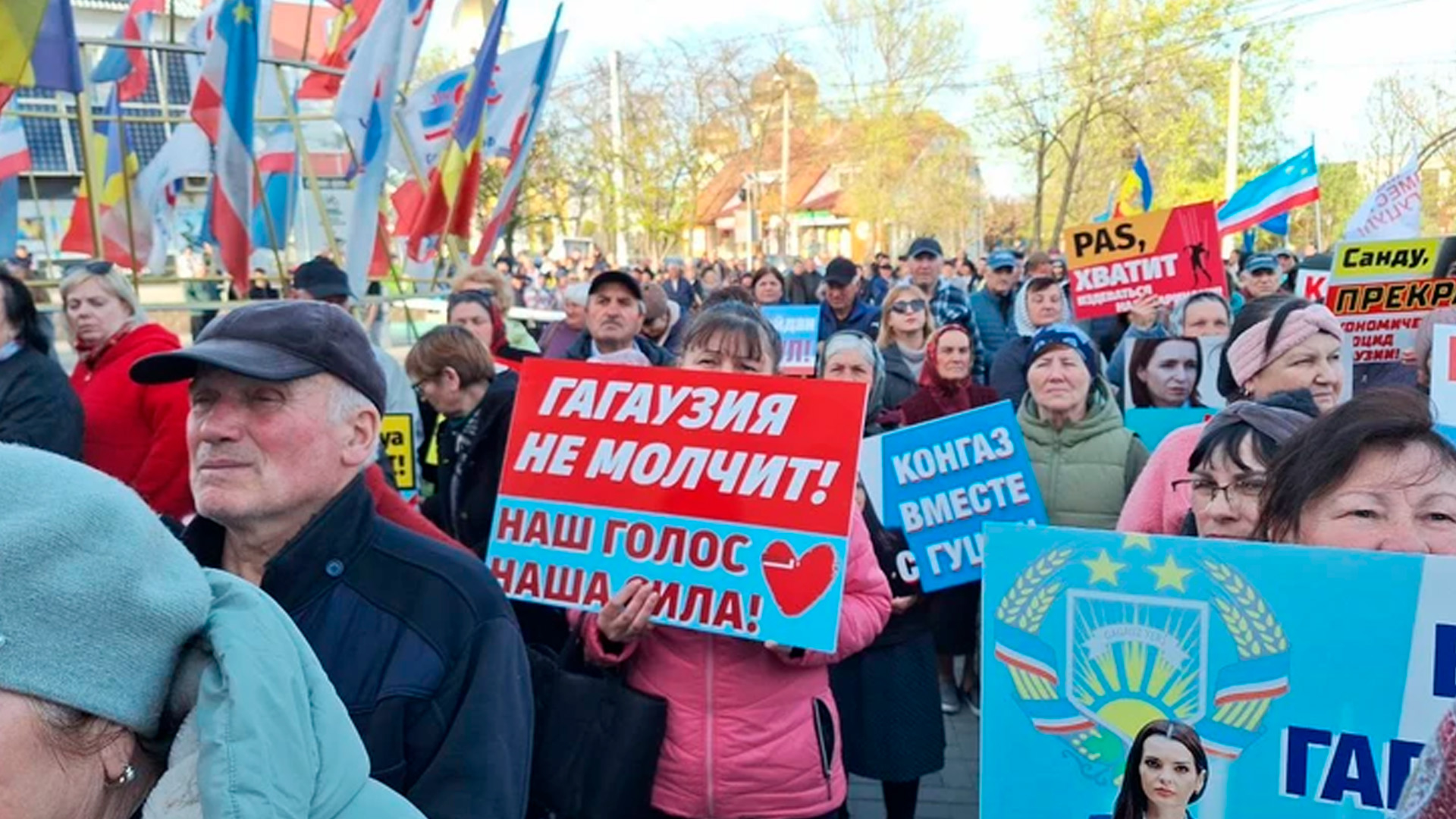 В правительстве Гагаузии призвали к общенациональным протестам в поддержку осужденной Гуцул