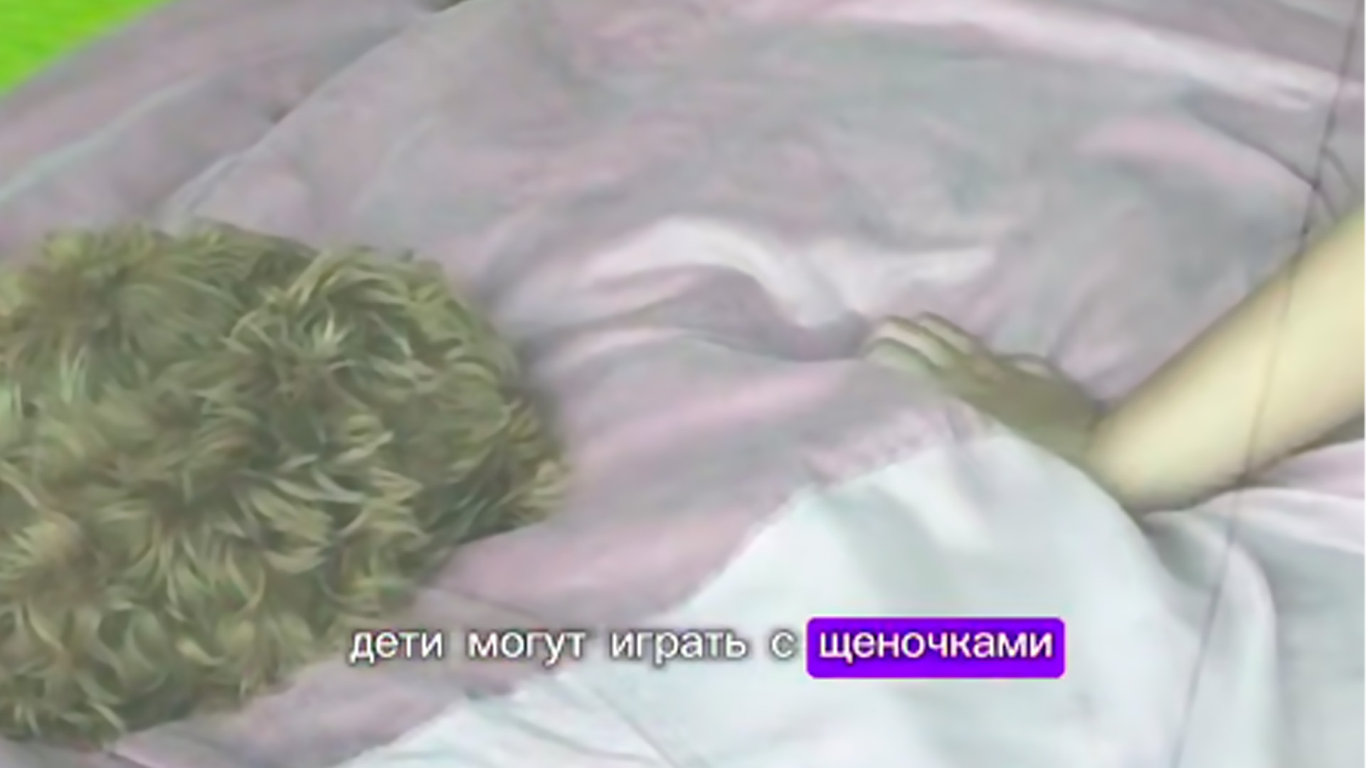 Юрист Хаминский: владельцам игровой комнаты с мальтипу грозит до 3 лет колонии
