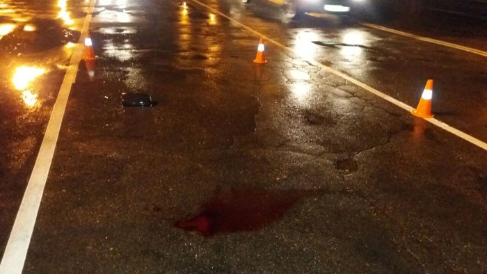 Автобус сбил пешехода на М1 в Смоленской области