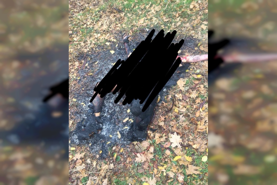 Под Одессой турки-сатанисты принесли соотечественника в жертву