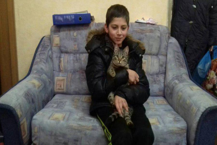 «Ни на минуту не отходил!». Бездомный кот всю ночь согревал пропавшего школьника