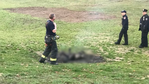 В Нью-йорке адвокат Дэвид Баккел сжег себя заживо в знак протеста