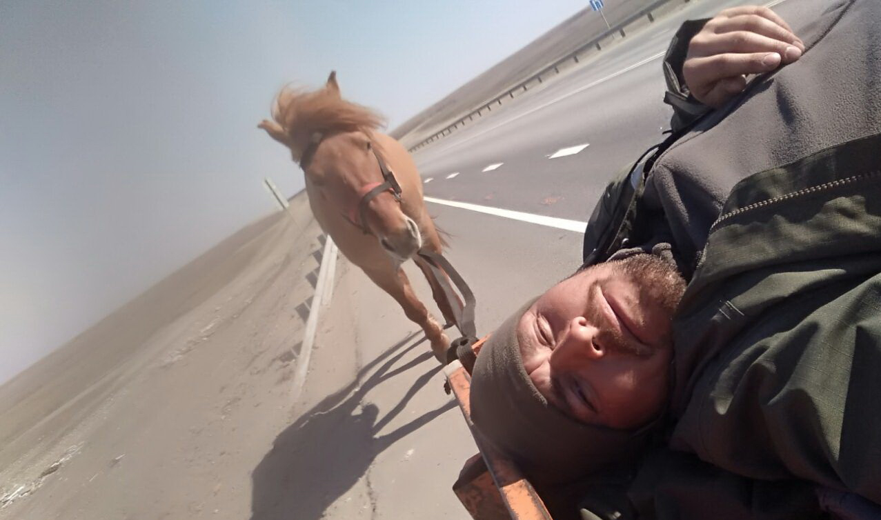 Двое фермеров из Баркошстана на лошадях едут в Мекку