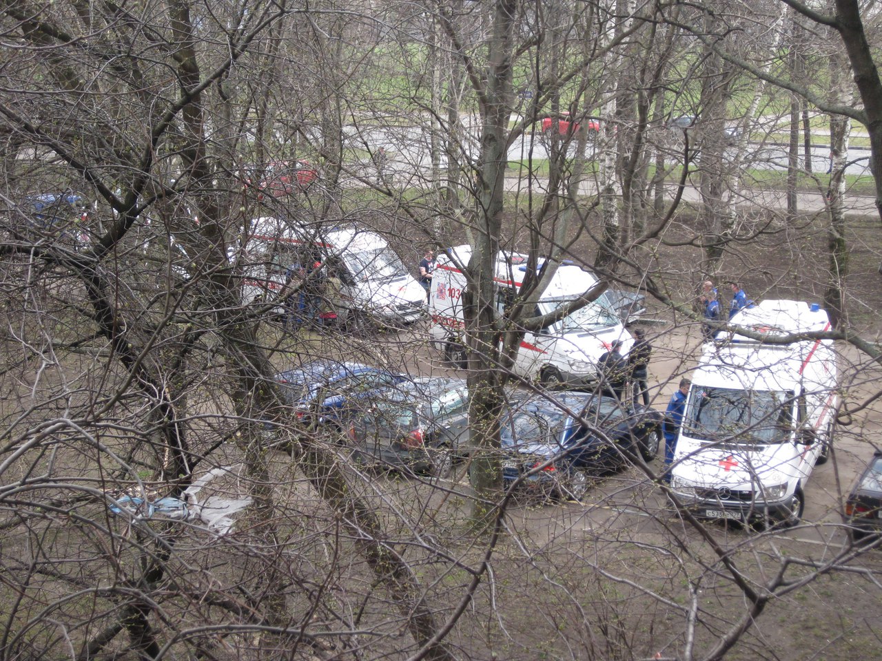 В Москве дерево упало на семью с 3-месячным ребенком