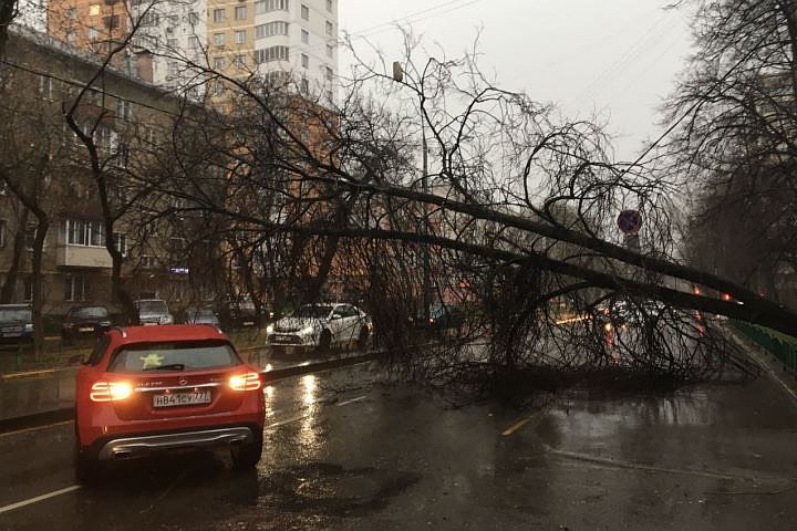 Разрушительный ураган добрался до Москвы