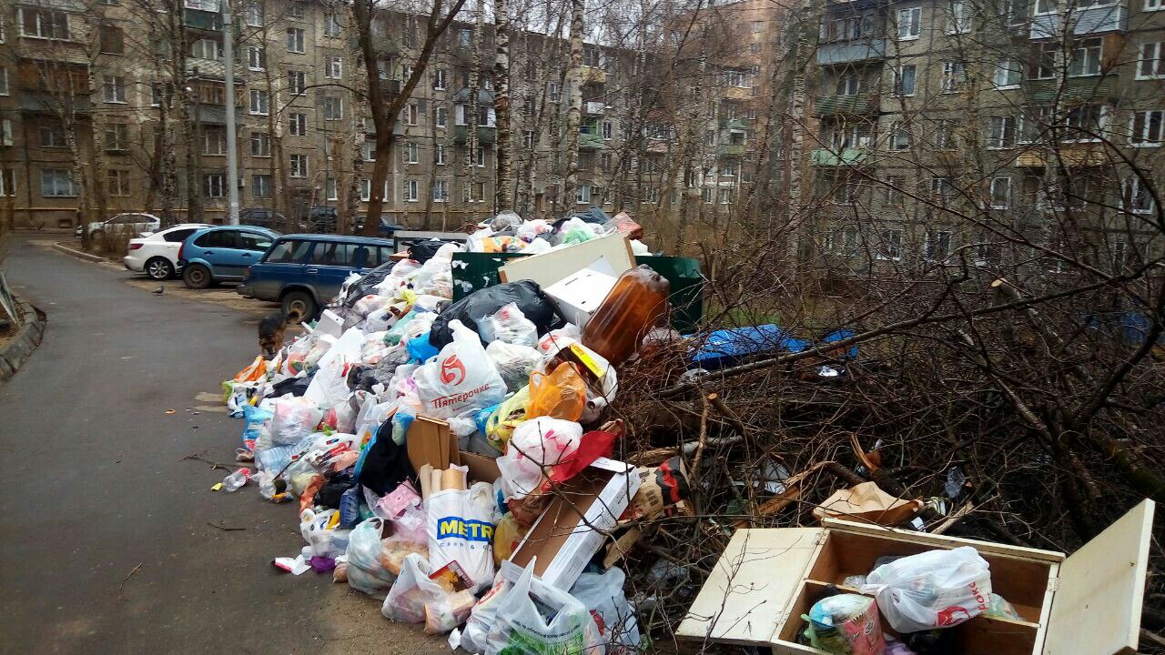 В подмосковном Пушкино перестали вывозить мусор