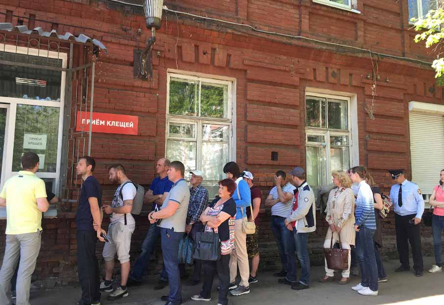 Ярославцы выстроились в огромную очередь, чтобы сдать клещей