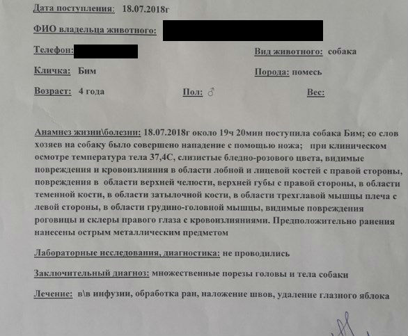 В Орле настоятель монастыря изрезал ножом верного Бима