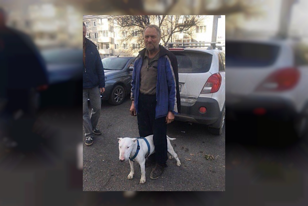 Пенсионер выжил в тайге, благодаря преданному бультерьеру