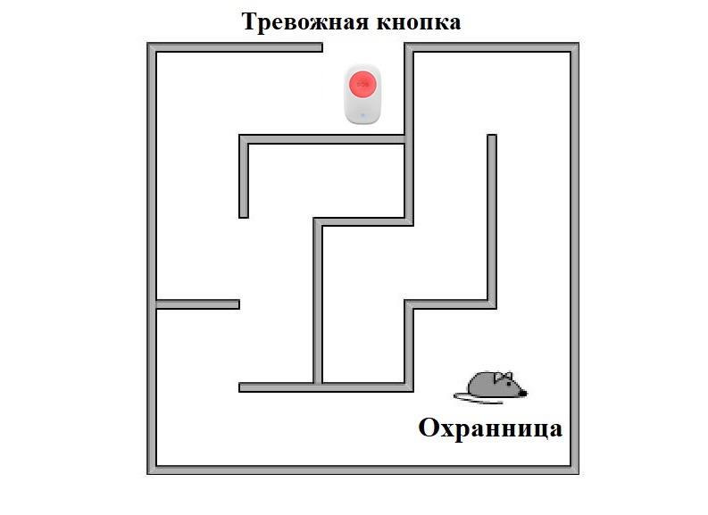 Охранница школы в Тольятти не смогла найти тревожную кнопку