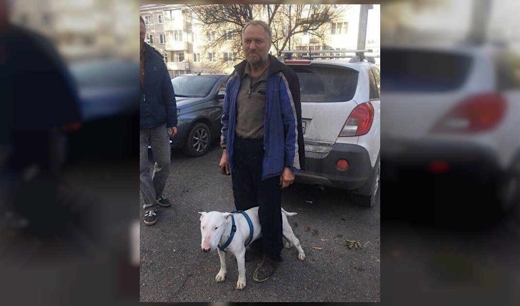 У пса Тора, который спас пенсионера из тайги, серьезные проблемы со здоровьем