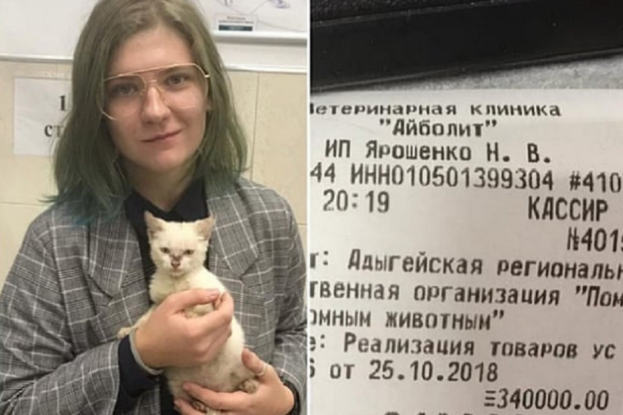 Ярмольник обвинил девушку, погасившую долг приюта, в самопиаре