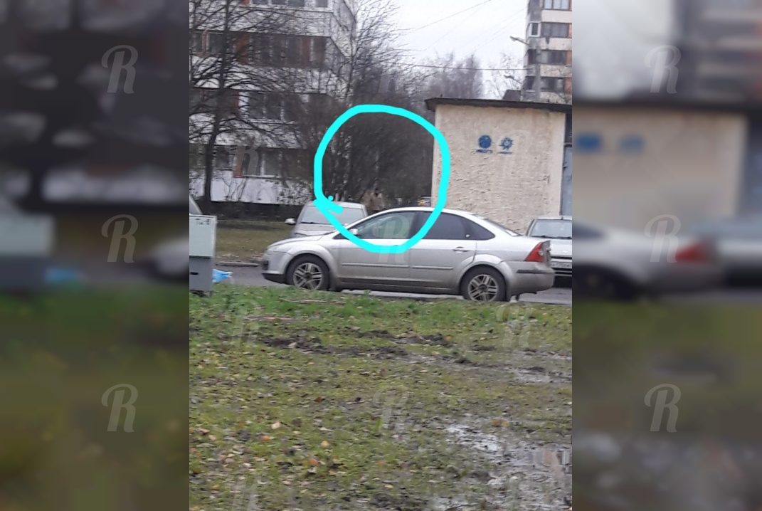 В Петербурге педофил терроризирует маленьких учениц двух школ