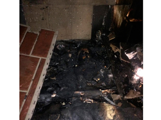 Жизнь долгожданной малышки из пробирки унес пожар