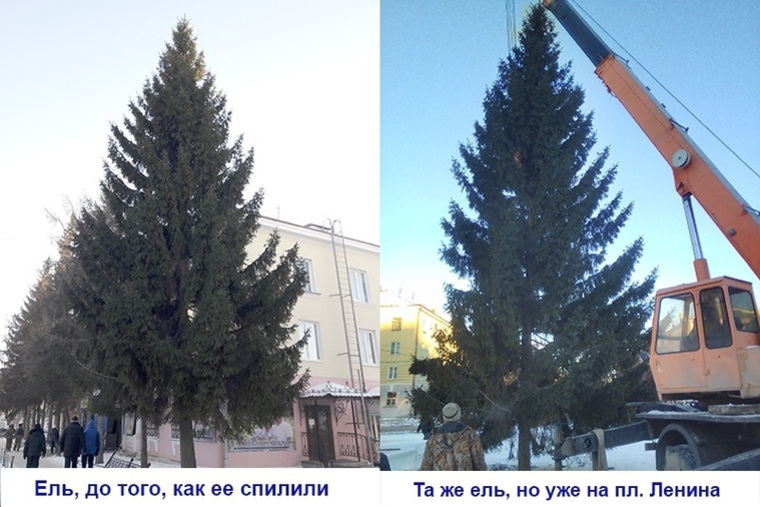 Начальника ЖКХ уволили из-за неудачной новогодней елки