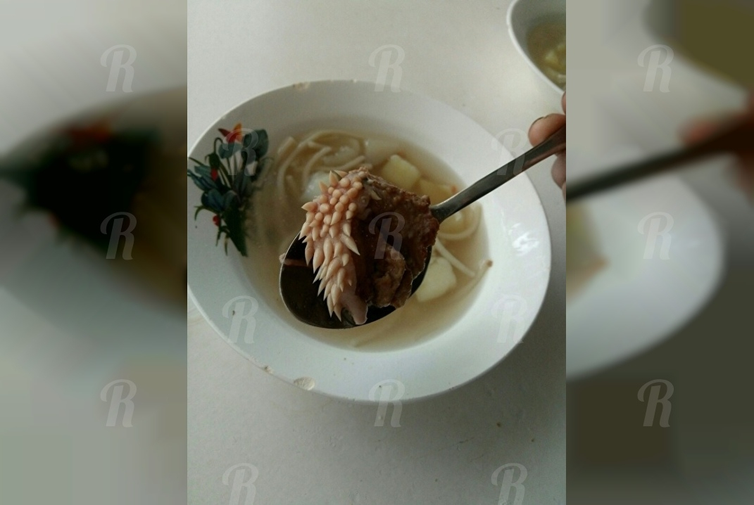 Детей накормили едой с щупальцами и разделили на бедных и богатых