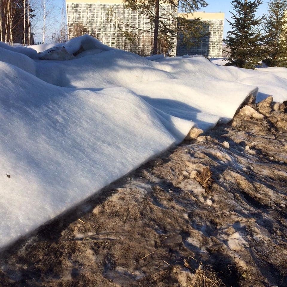 Красноярск готовится к Универсиаде-2: больница aka отель, перераспределение снега, «ду ю спик инглиш»