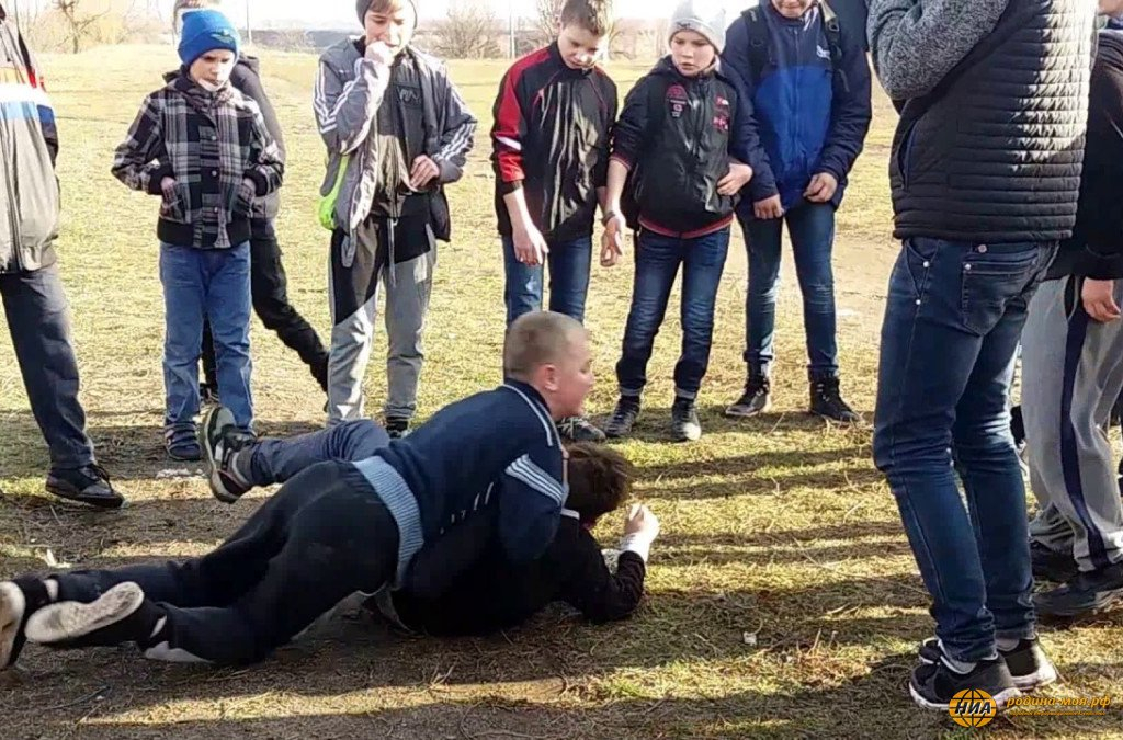 Россияне винят в школьных драках учителей, родителей и СМИ