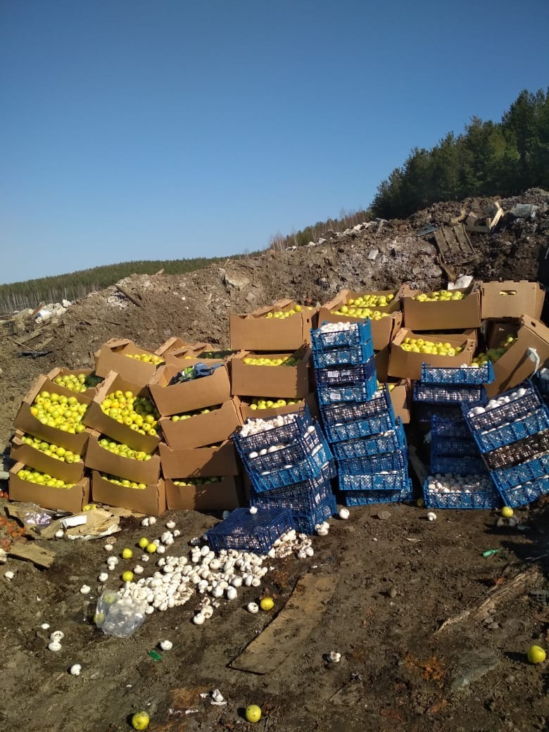 На Урале чиновники закатали в землю 1,5 тонны продуктов, которые может позволить себе не каждый россиянин