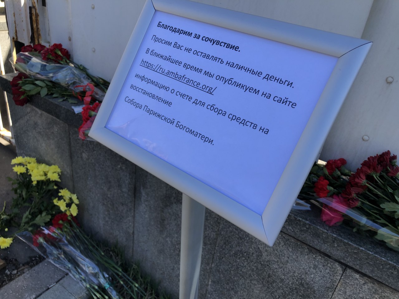 В России соберут деньги на восстановление собора Парижской Богоматери