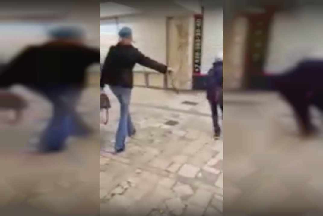 Мамаша из Новосибирска выгуляла ребенка на поводке и стала звездой интернета