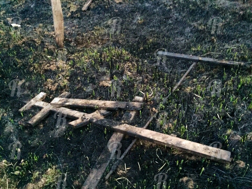 В Смоленской области неизвестные подожгли кладбище