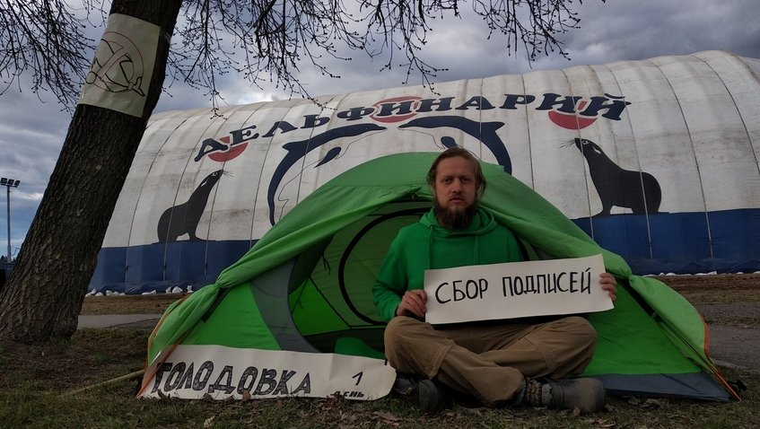 Жители Ижевска возненавидели дельфинарий, который приехал к ним с гастролями