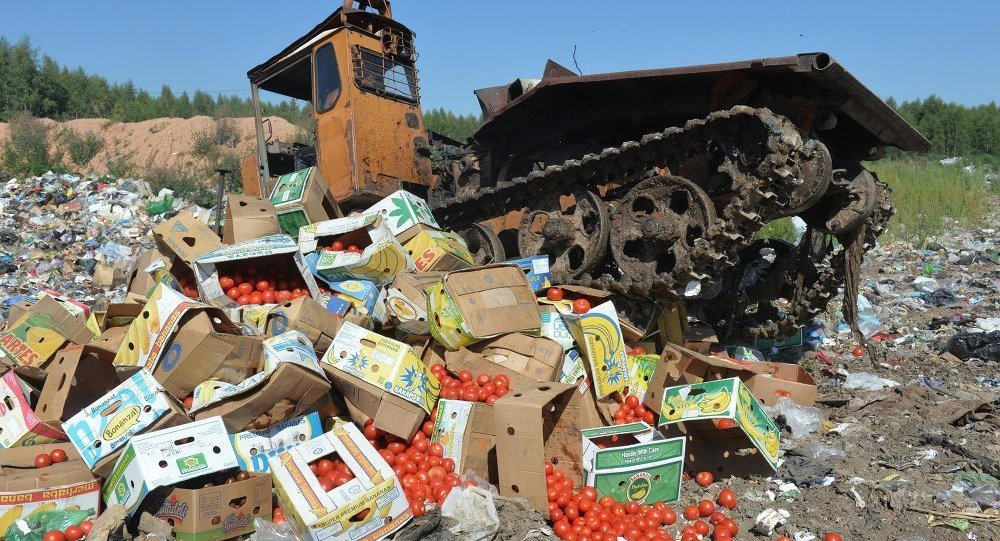 В правительстве решили не уничтожать санкционные продукты
