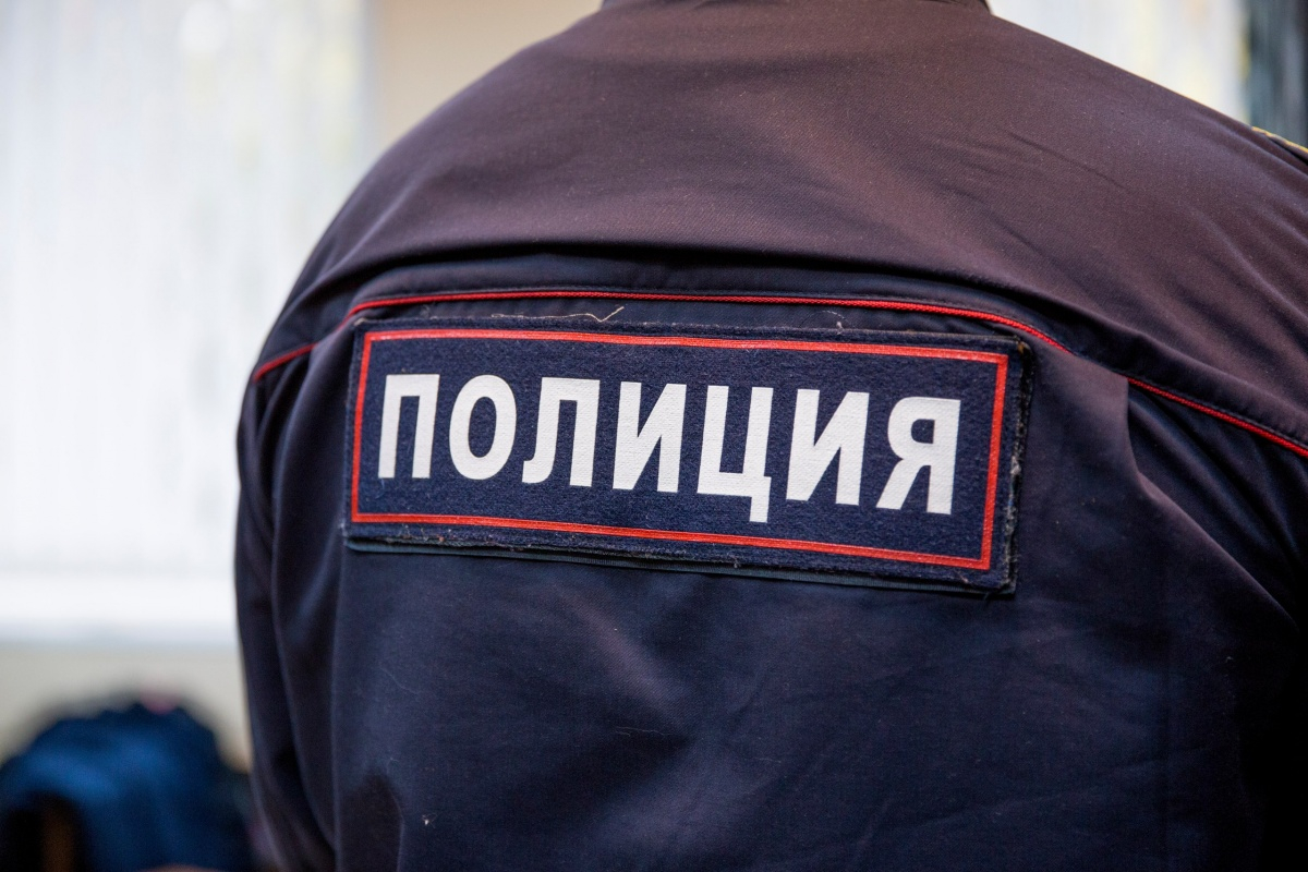 Приморец отомстил за убитую кошку, до смерти избив приятеля