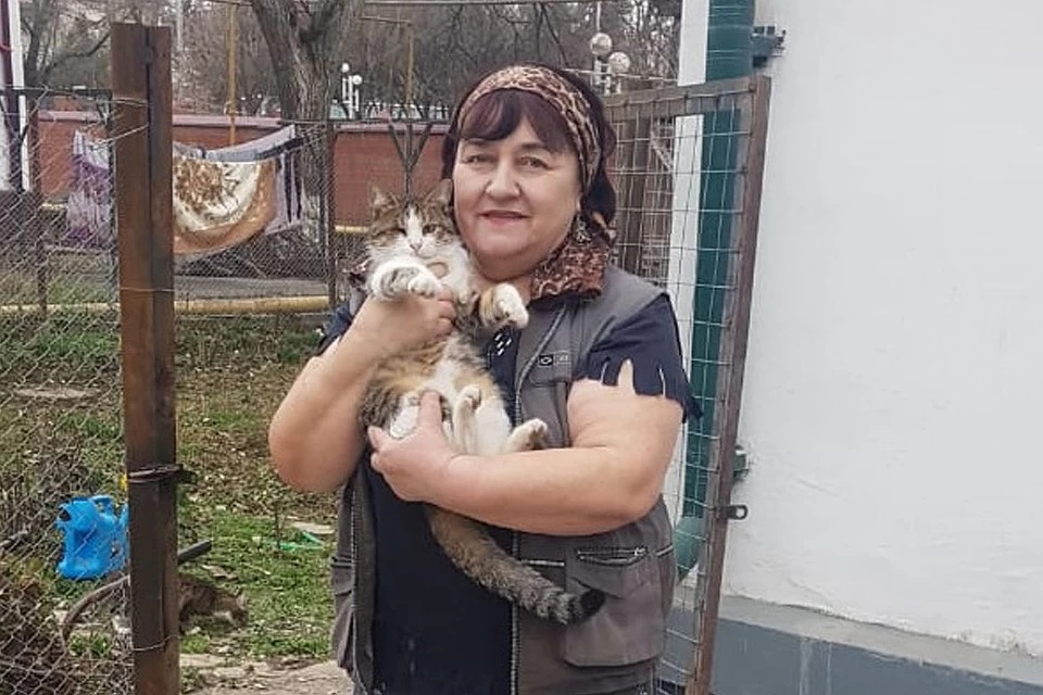 “Когда стреляли, я гладила их”: пенсионерка рассказала, как сделала приют для котят в чеченскую войну