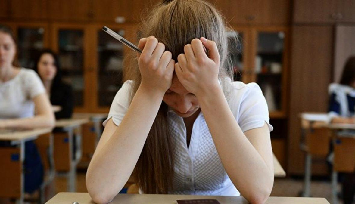В Сибири школьникам дали писать сочинения о поправках в Конституцию РФ