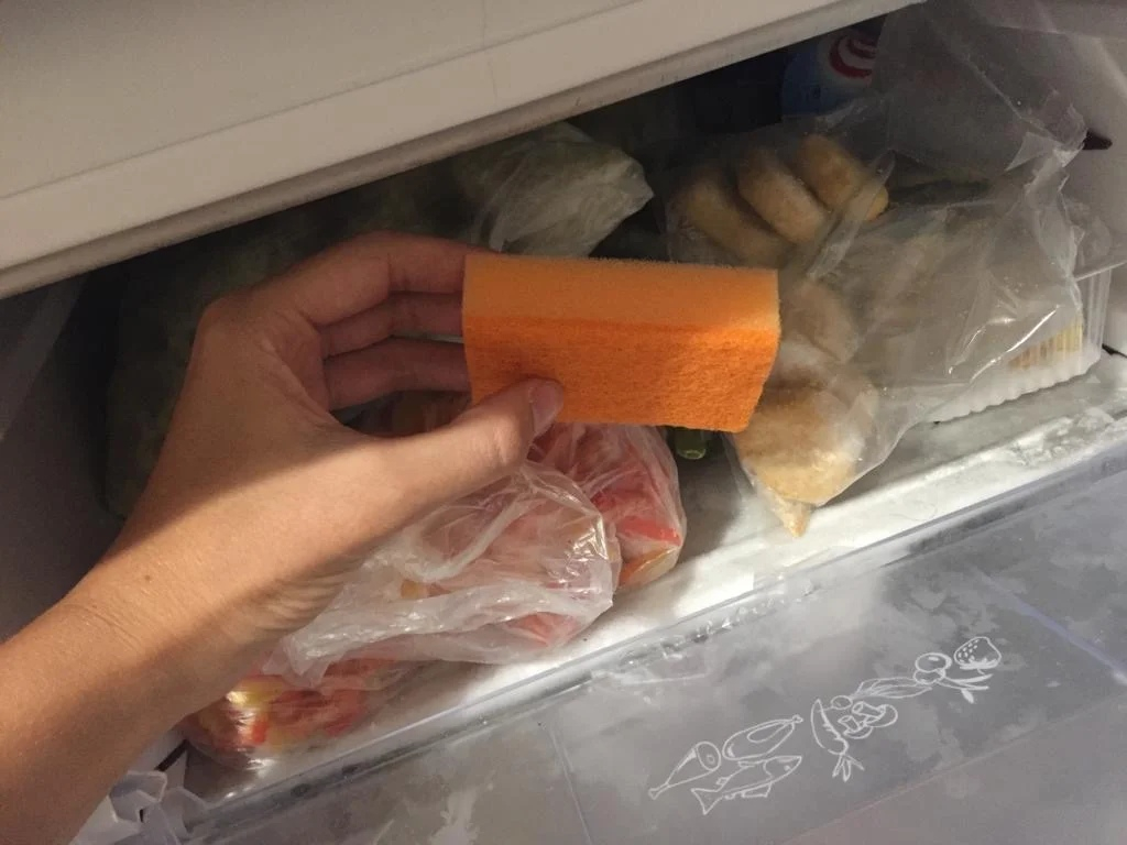 Зачем хозяйки делают запасы замороженных губок?