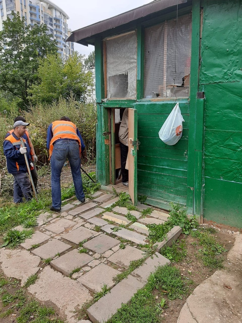 Чиновник столичный управы по собственной инициативе снес голубятню