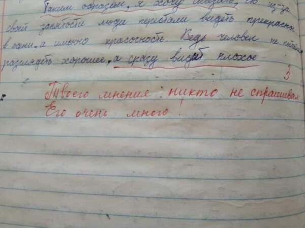 Учительница попросила прощения у старшеклассника за хамский комментарий