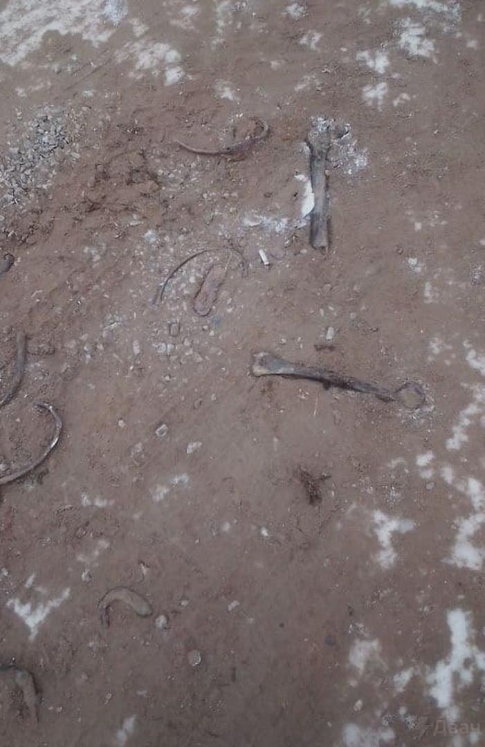 В Иркутской области засыпали обледенелую дорогу песком с человеческими останками