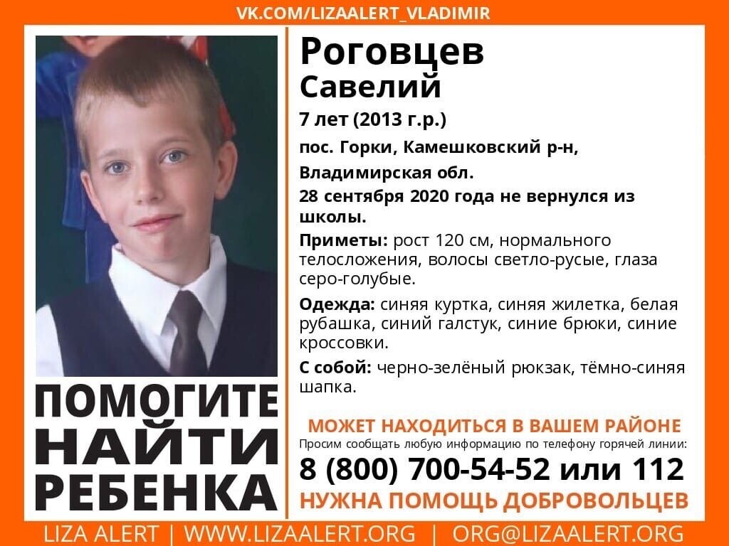 Во Владимире семилетнего мальчика спас Интерпол