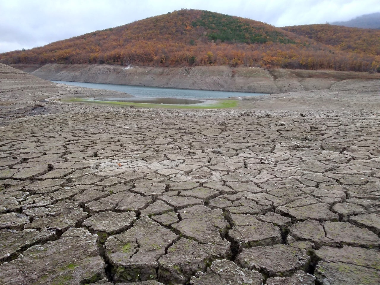 Без воды и без надежды: в Крыму пересохли реки, питающие водохранилища