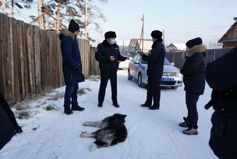 В столице Бурятии собаки обглодали девушку до костей