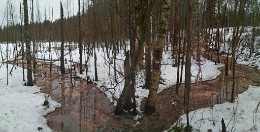 В Карелии потекла