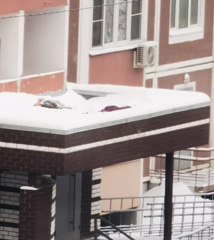 В Химках две девочки выпали с 17 этажа