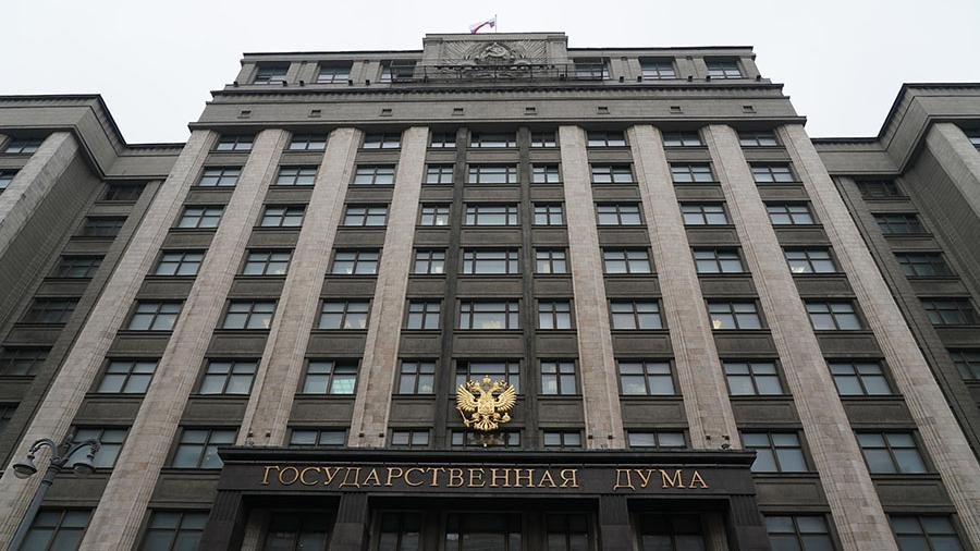 Правительство не поддержало законопроект о лишении свободы за вовлечение детей в митинги