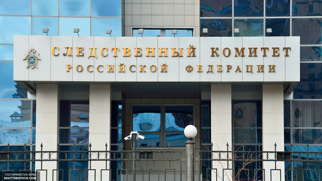 Полиция задержала южанина, устроившего драку с ОМОНовцами во время акции 23 января