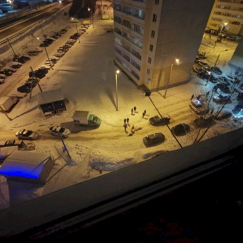 В Перми муж обезглавил беременную жену и зарезал ее отца