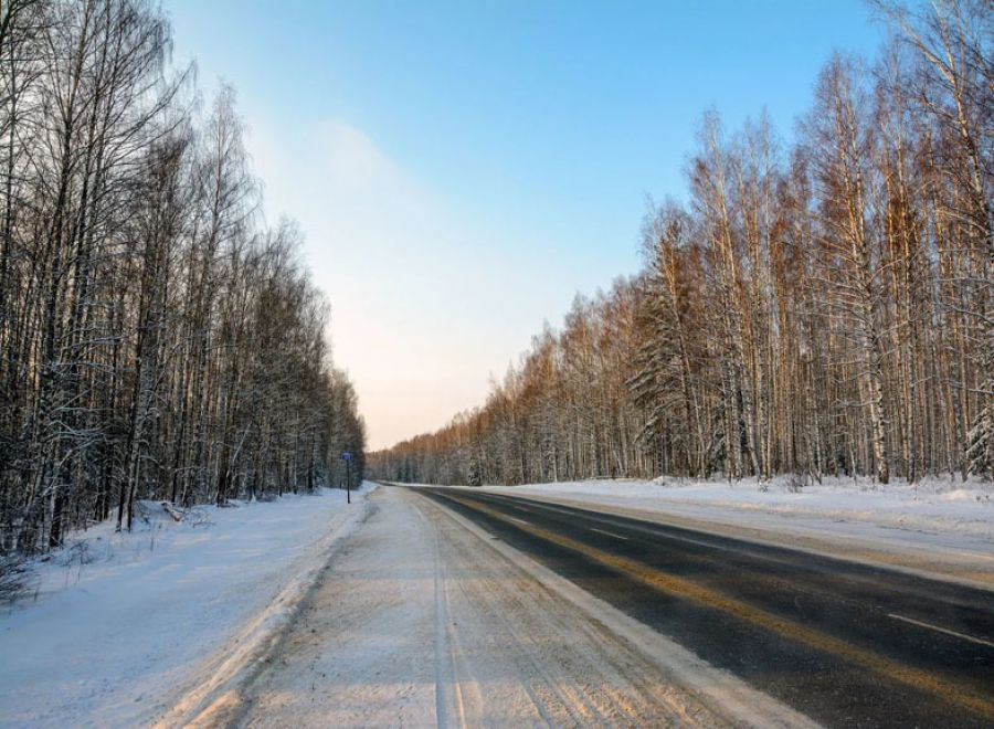 В Новой Москве мать раздела троих детей и пошла с ними в лес