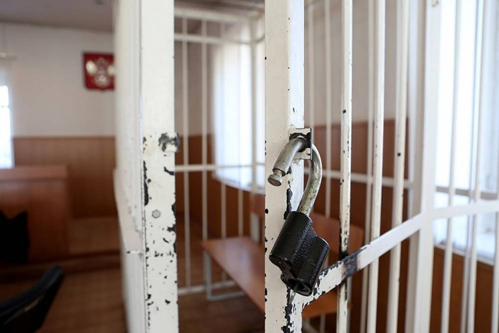 Хабаровчанина осудили на 10 лет за организацию теракта во время шествия за Фургала