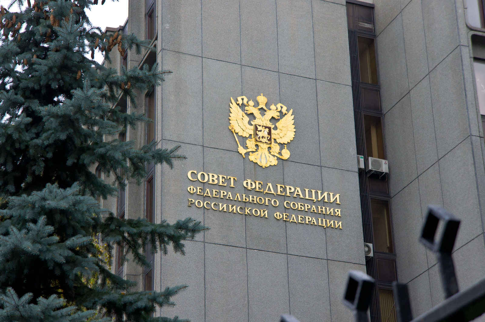 В России могут ввести уголовную ответственность за треш-стримы