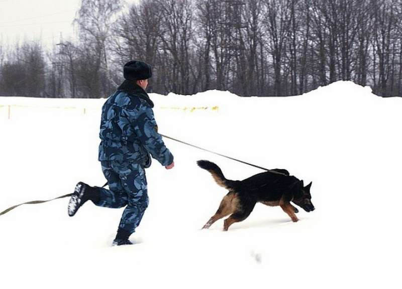 В Прикамье ловят мужчину, убившего жену и детей