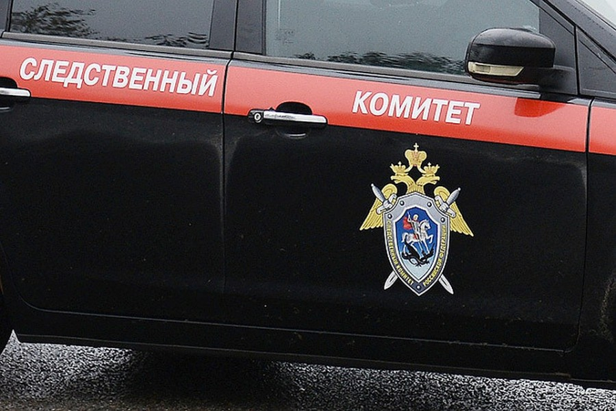 В лесу Брянской области нашли обугленный труп младенца с пробитой головой
